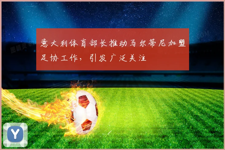 意大利体育部长推动马尔蒂尼加盟足协工作，引发广泛关注