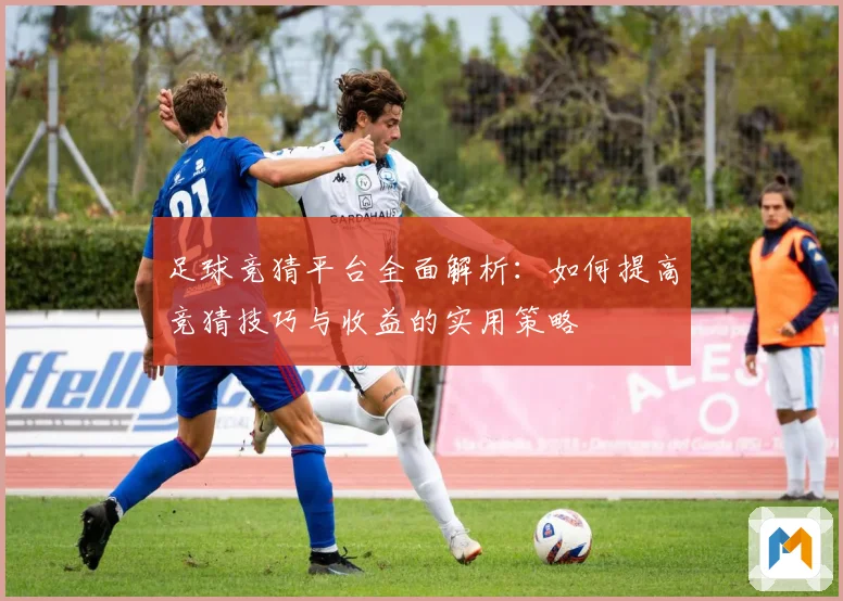 足球竞猜平台全面解析：如何提高竞猜技巧与收益的实用策略
