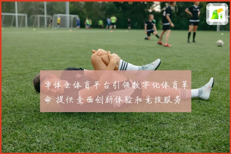 华体会体育平台引领数字化体育革命 提供全面创新体验和竞技服务
