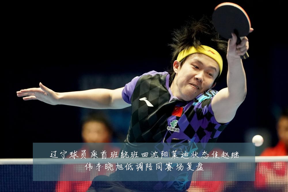 辽宁球员乘首班航班回沈阳莱迪状态佳赵继伟李晓旭低调陪同赛场复盘