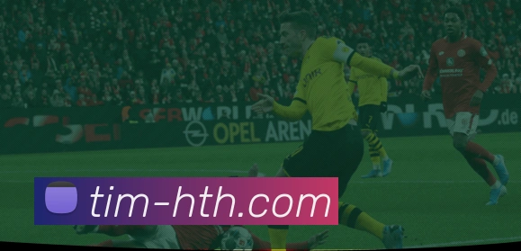 如何创建登录账号？