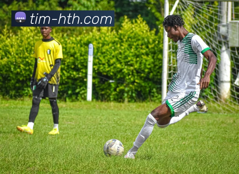 支持哪些设备平台运行？